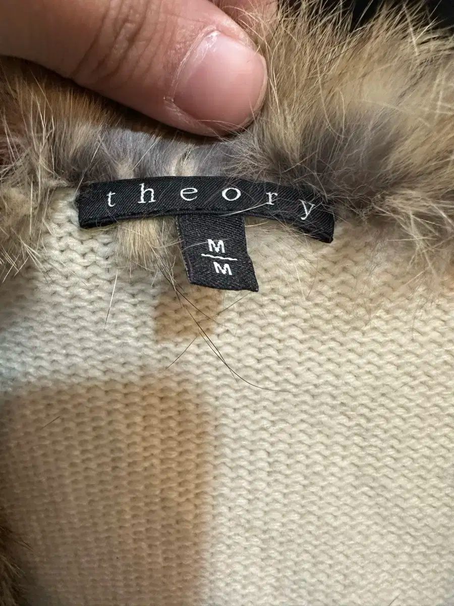 Theory セオリー