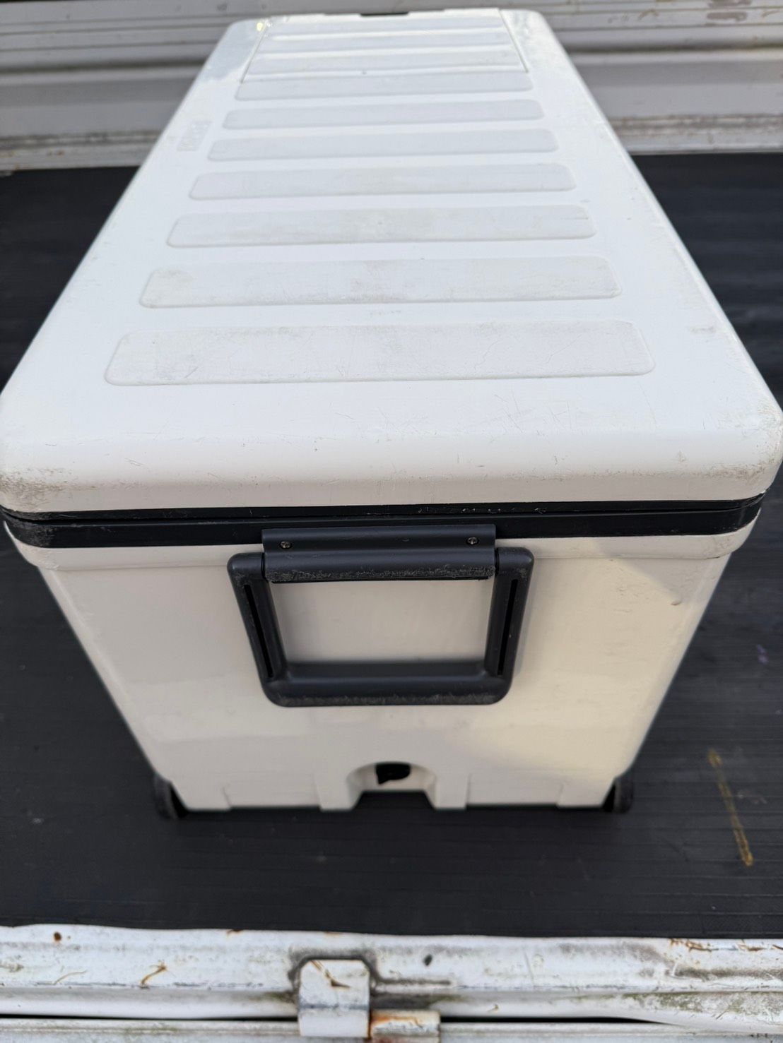 S99146 伸和 SHINWA 大型クーラーボックス ホリデーランドクーラー 76H 76L