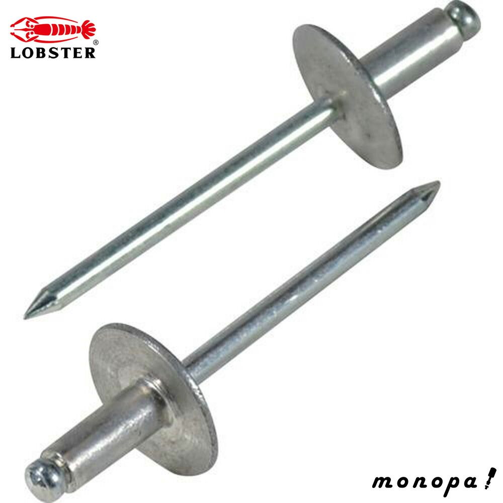 ロブテックス エビ ブラインドリベットラージフランジ 500本入 アルミ|スティール6-14 NSA614LF