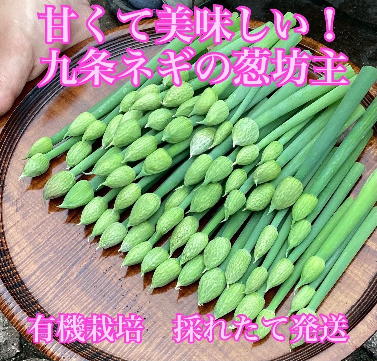 岡山県産 九条ネギの葱坊主 200g 有機栽培 - メルカリ
