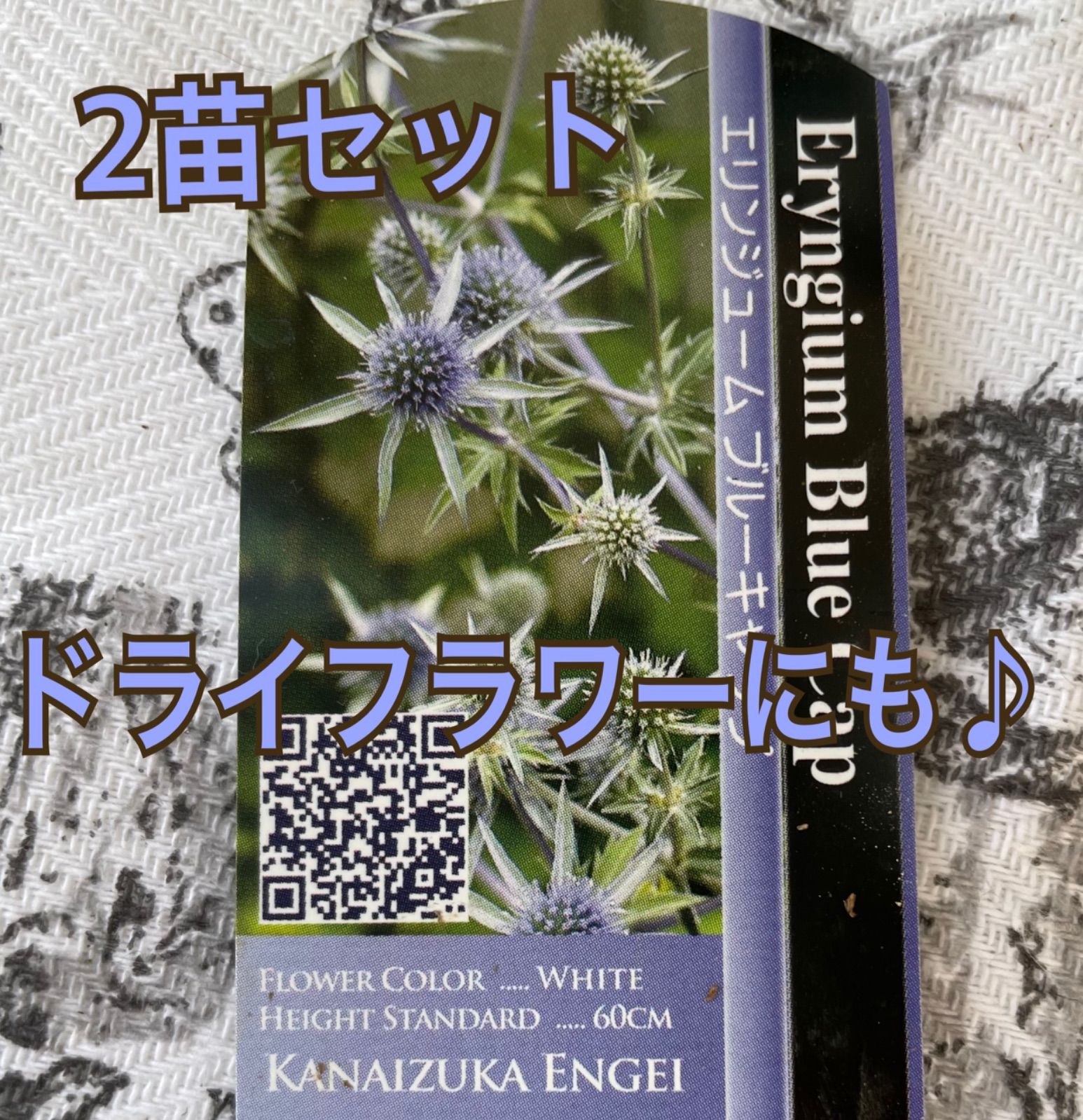 公式通販 エリンジューム ブルーキャップ 1ba 最大級サイト Pn Batam Go Id