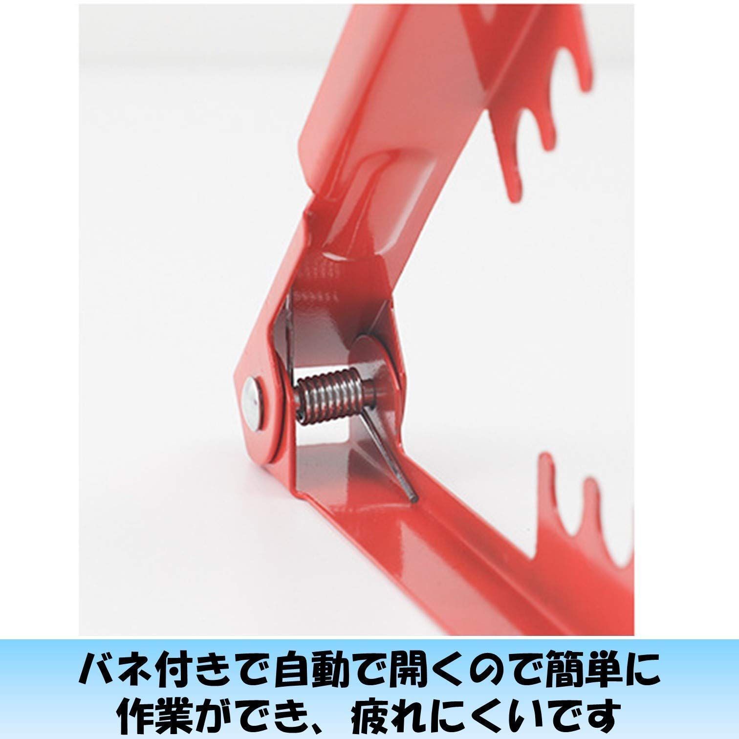 赤] 棘 トゲ 薔薇の棘取り バラトゲ取り 刺抜き バラのトゲ取り