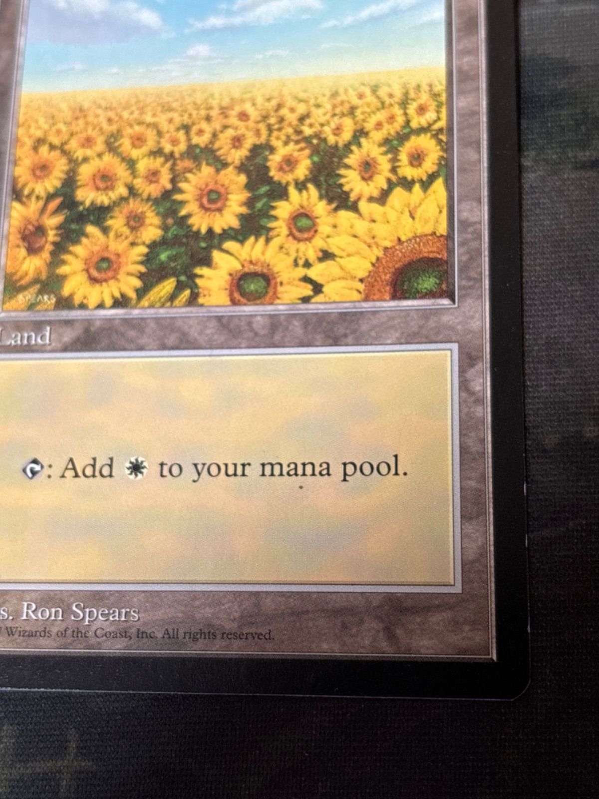 nv17 55 APACランド 平地/Plains Illus.Ron Spears ひまわり