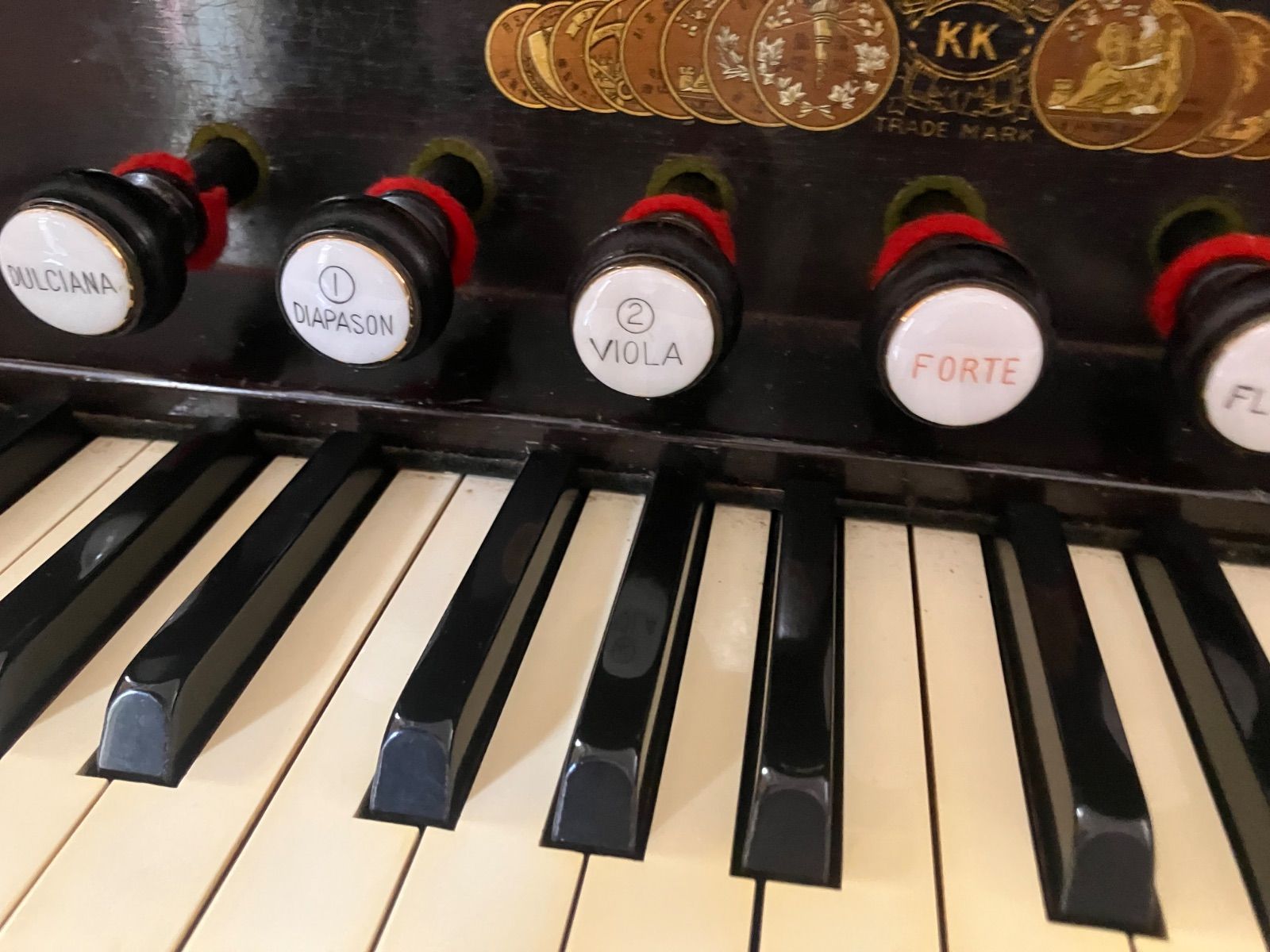 手入れ済み 保証付き