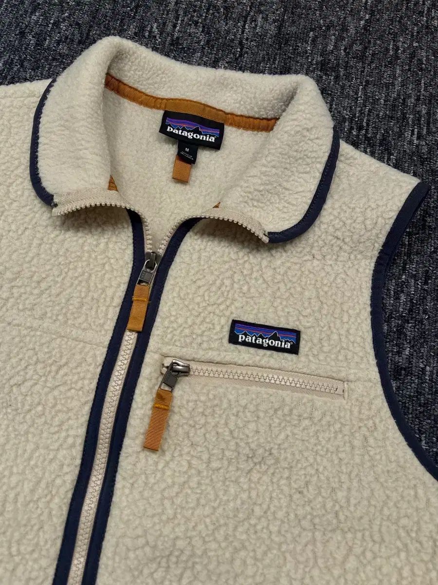 patagonia パタゴニア レトロ ファイル フリース ベスト ベスト トップス メンズ