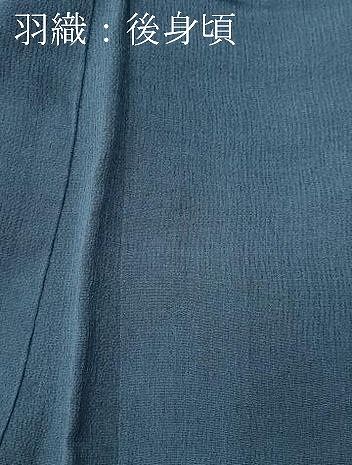 平和屋着物○男性 色無地 アンサンブル 鉄御納戸色 キングサイズ 正絹