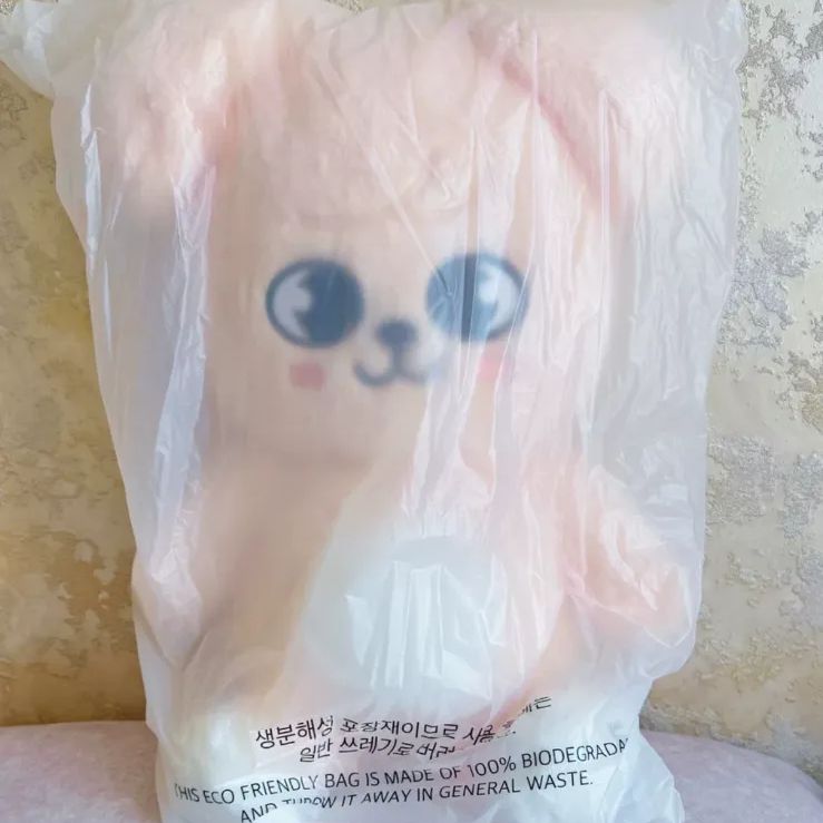 スキズ ペンミ 韓国 SKZOO ぬいぐるみ テディベア スンミン パピーム 