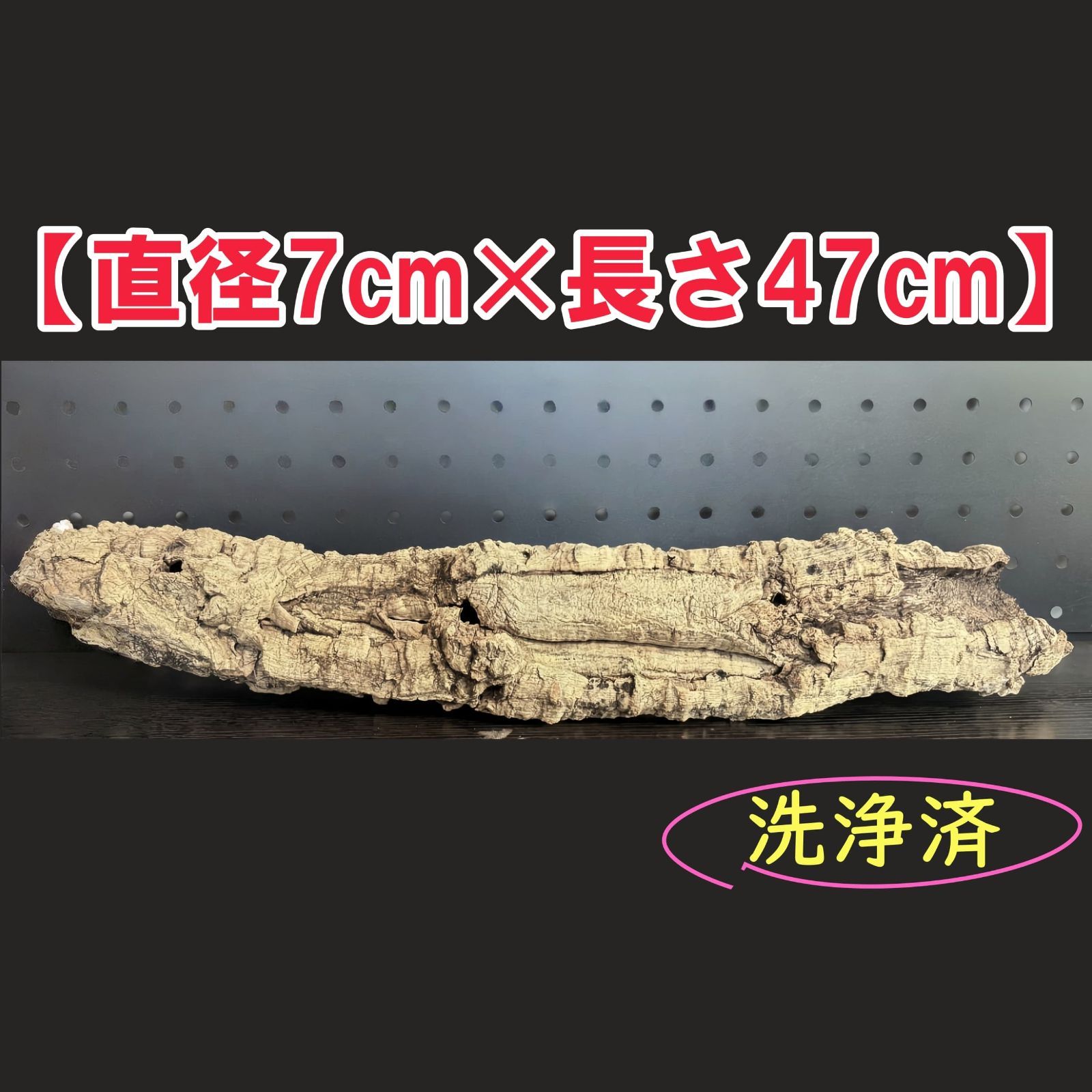 250809 ポルトガル産 キャノンコルク コルク樹皮 コルク板バージンコルク