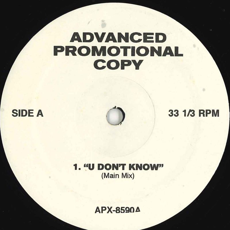 最終セール価格　レア⭐︎邦楽　LPレコード　5枚セット 12” Jay-z U Dont Know / Lifetime APX8590PROMO NOT ON LABEL
