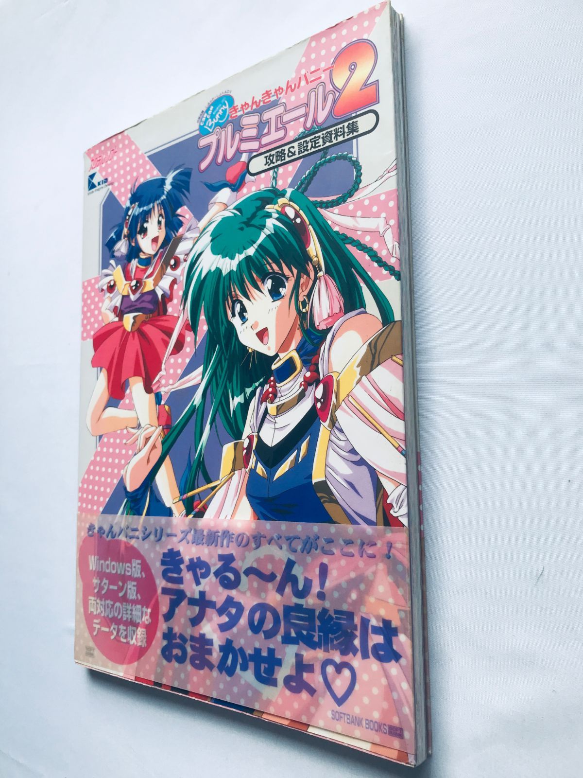 きゃんきゃんバニー プルミエール2 攻略＆設定資料集 帯 ポスター