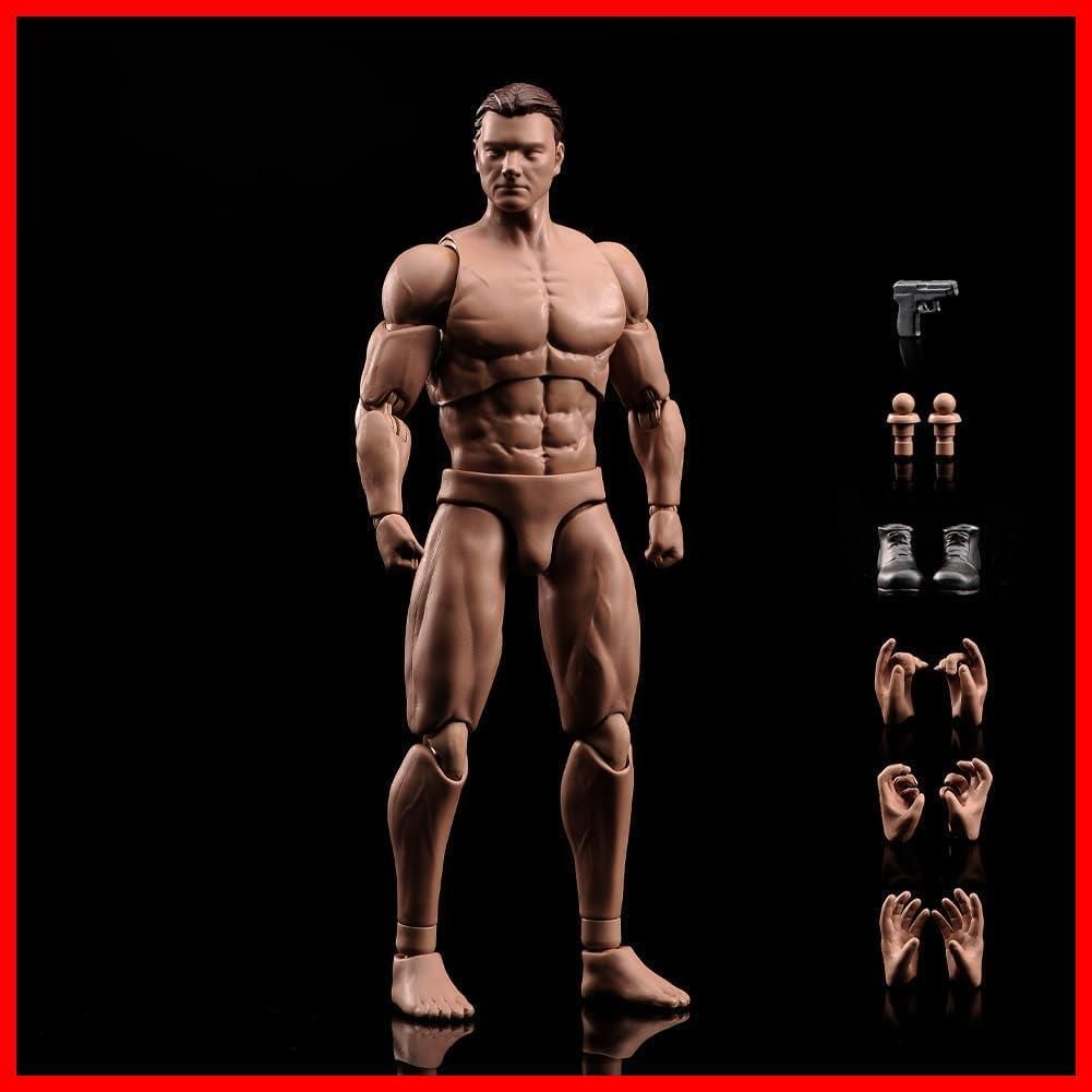 1/6 男性ボディ フィギュア Amazon.co.jp: 12インチ男性ボディフィギュア 体型モデル 筋肉男性