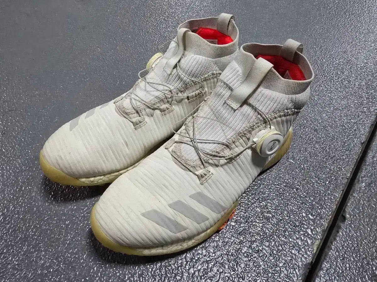 adidas(アディダス) ボア ゴルフシューズ 260