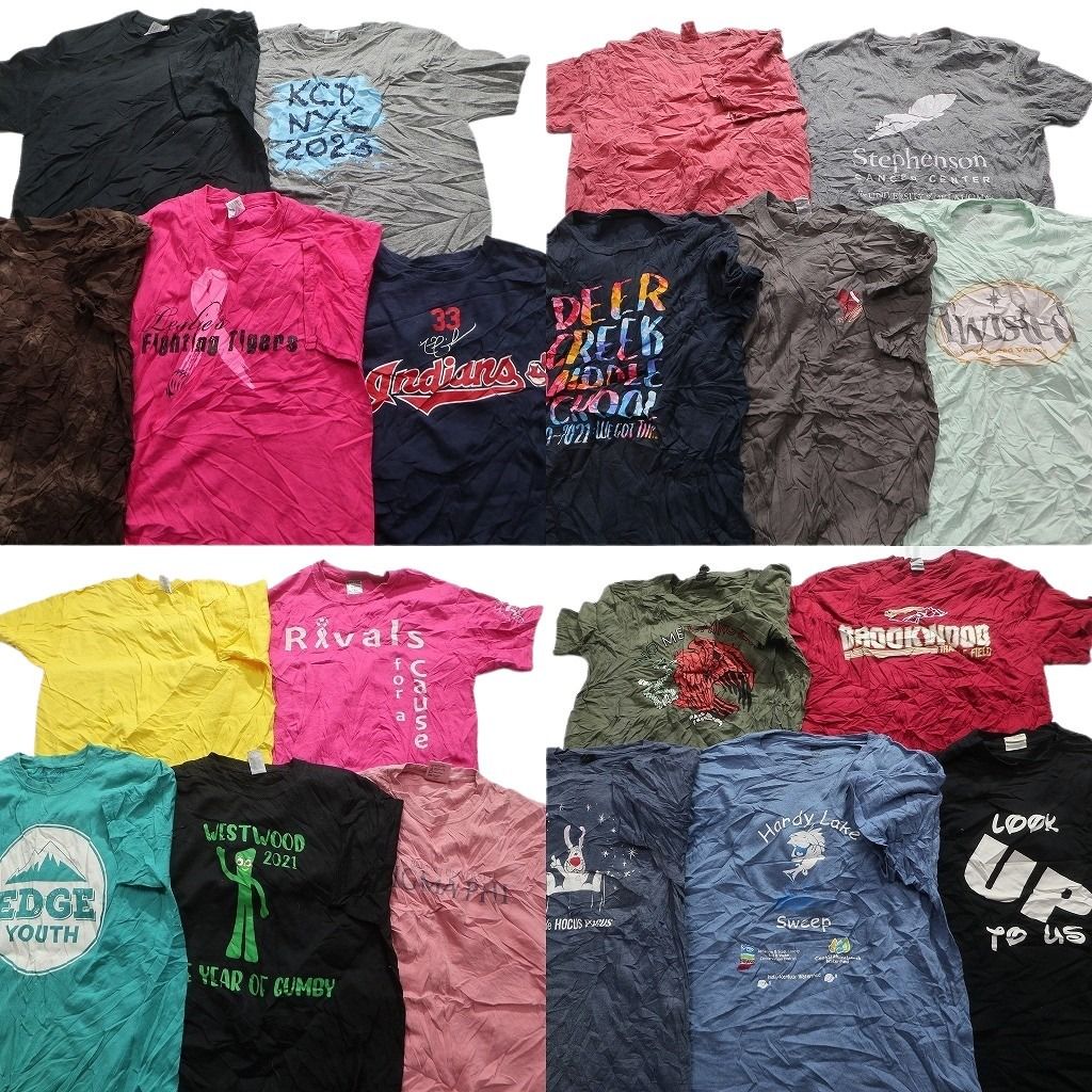 古着卸 mix プリント 半袖Tシャツ 20枚セット メンズ M チームロゴ 英文字プリント ワンポイント 古着 NA0739