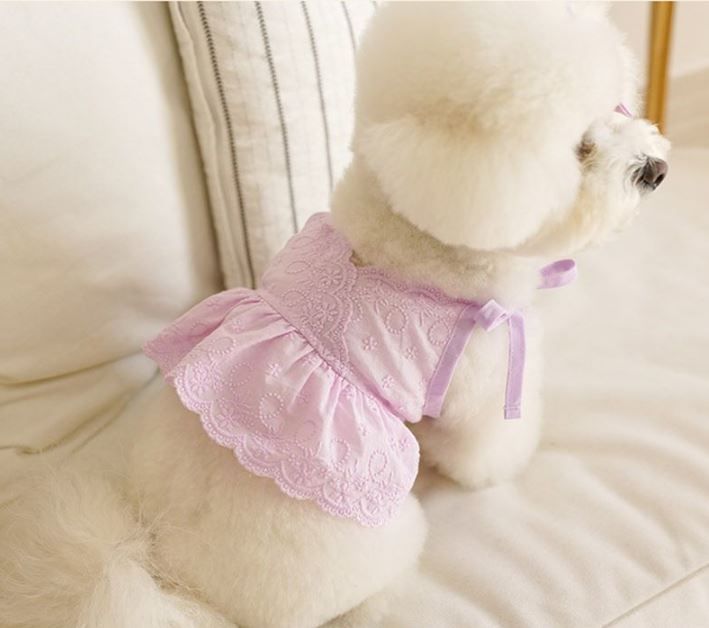 高品質 かわいい