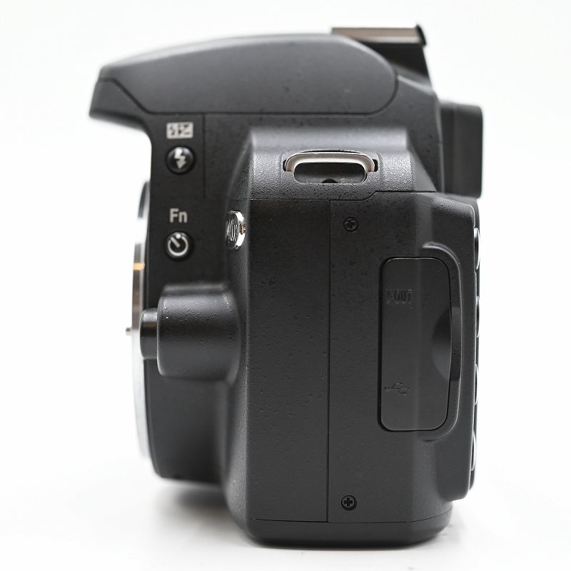 Nikon ニコン デジタル一眼レフカメラ D40X ボディ デジタル一眼レフ 