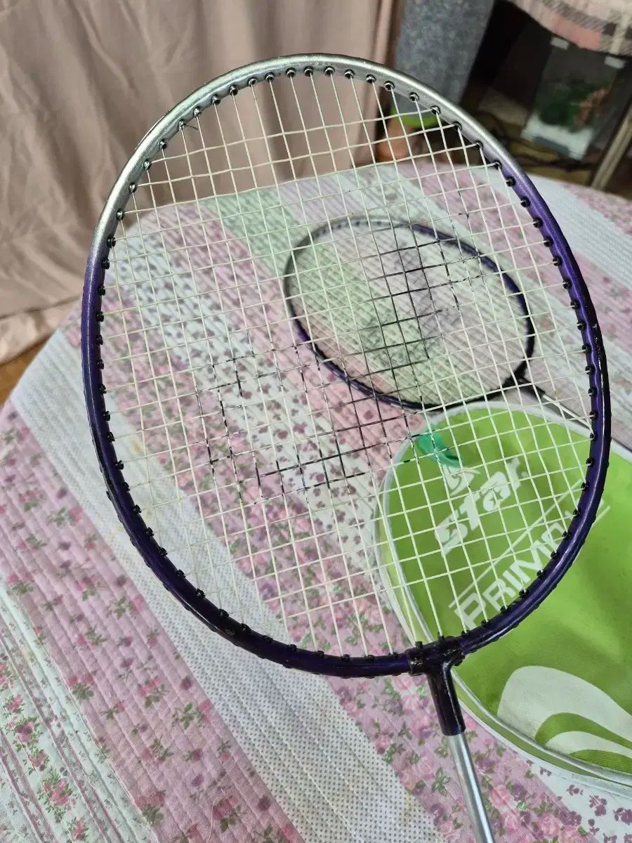 超貴重！バドミントン代表支給品 B-6357 バドミントン支柱CC40(検) | トーエイライト株式会社