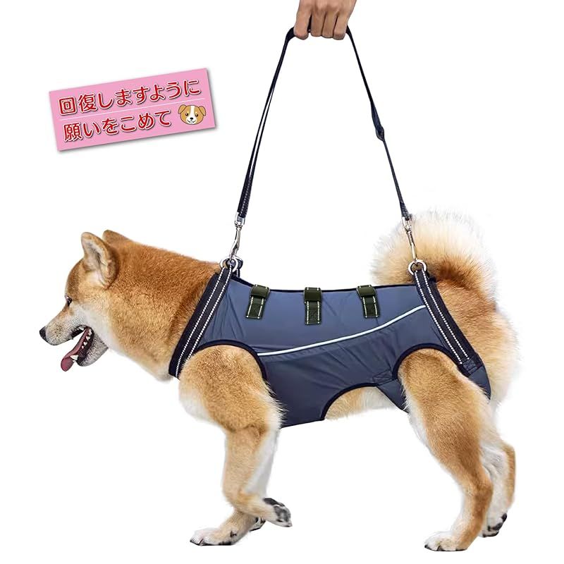 新品未使用】 介護用 ハーネス バックル 付き ネイビー 犬（【楽天市場  