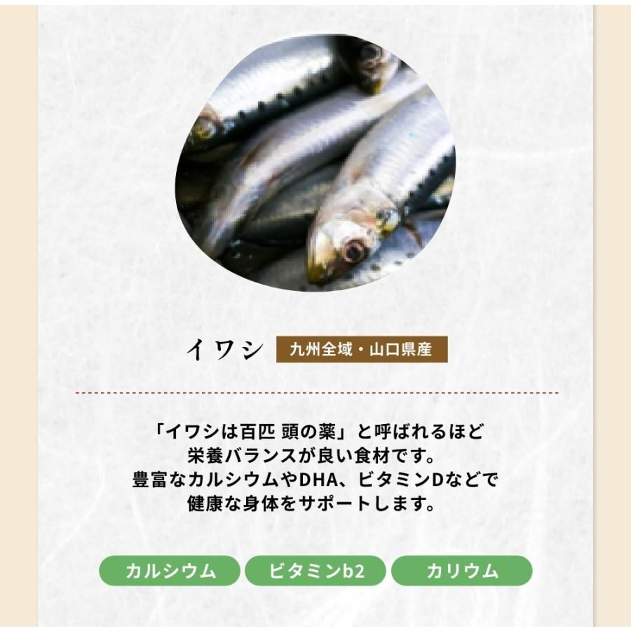 無添加 出汁 おいしいだし 海のペプチド 300g お買得5個セット 体に優しい天然だし 国産 食塩不使用 お手軽粉末だし