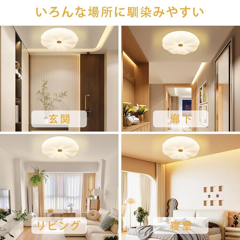 DINGLILED シーリングライト おしゃれ 8畳 8畳-10畳 調光 調色 3段階調