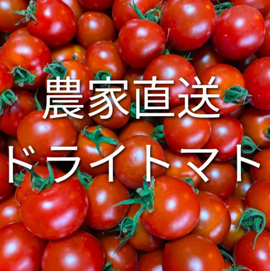 のサムネイル