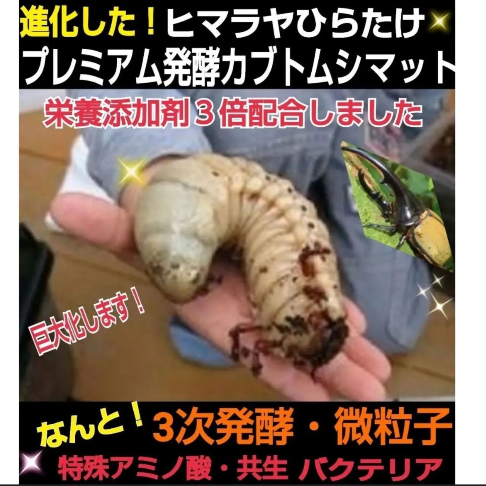 外国産カブトムシ幼虫が大きくなります！プレミアム3次発酵マット(60