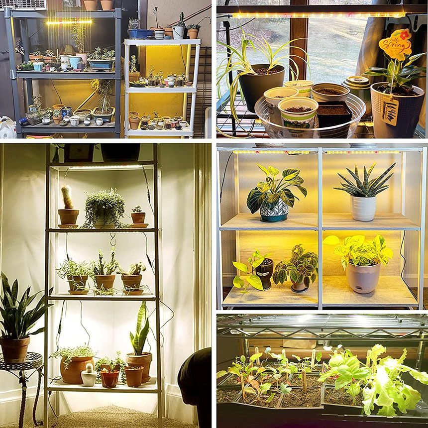 植物育成ライト LED育成ライト タイマー 観葉植物育成ライト 育成ライト 暖色系 9段階調光 フルスペクトル 育苗ライト 192LED 4ヘッド付き thumbnail 9