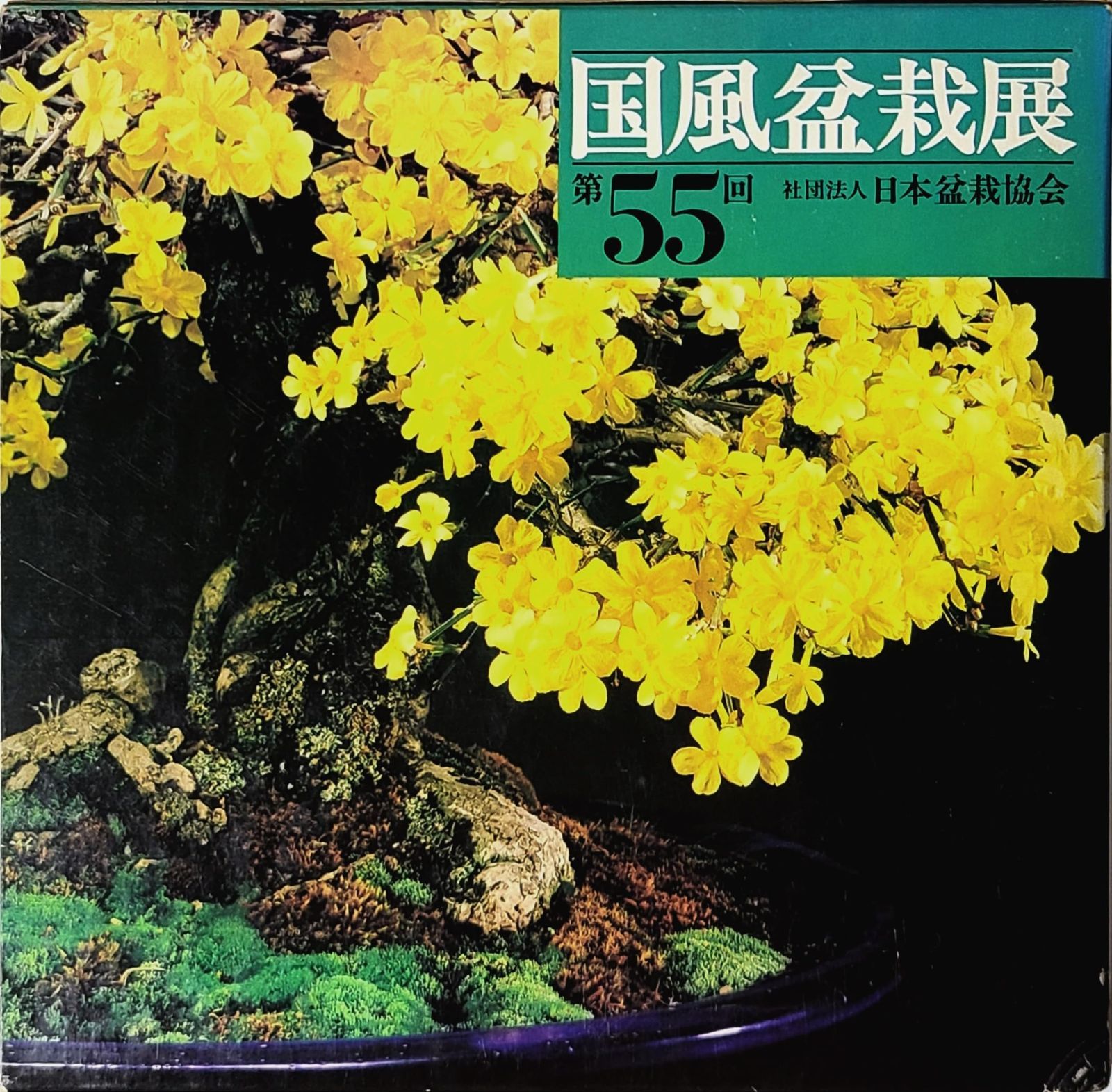 国風盆栽展 第55回 【公式通販】