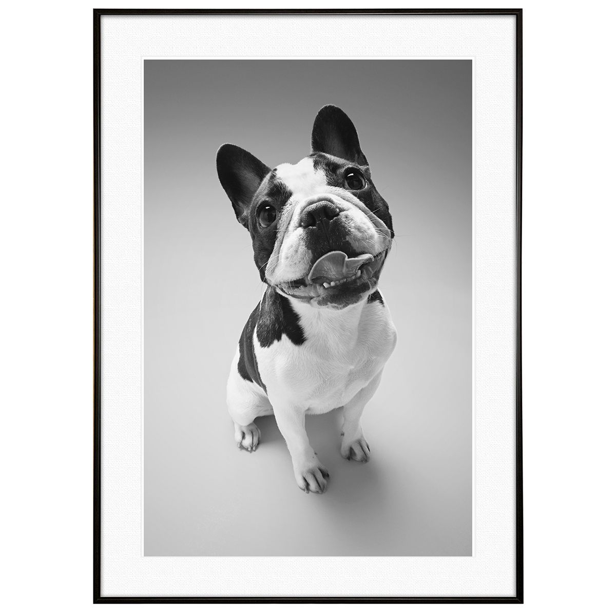 ★本　アニメスタイル6冊　ねんどろいど/とらドラ/けいおん/ふしぎの海のナディア ☆本 アニメスタイル6冊 ねんどろいど/とらドラ/けいおん/ふしぎの海の