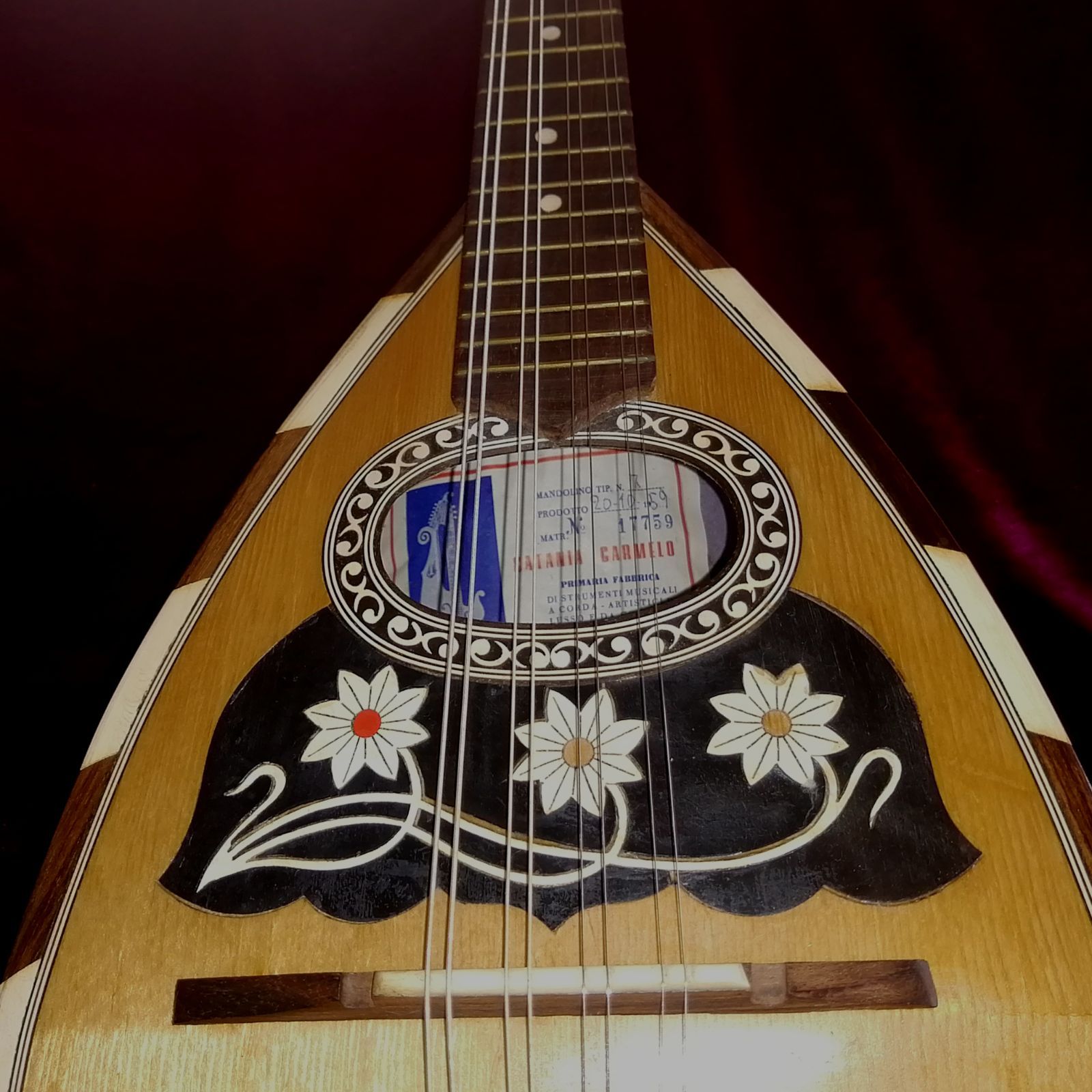 中古/カターニアカルメロCATANIA CARMELO/マンドリン/17210