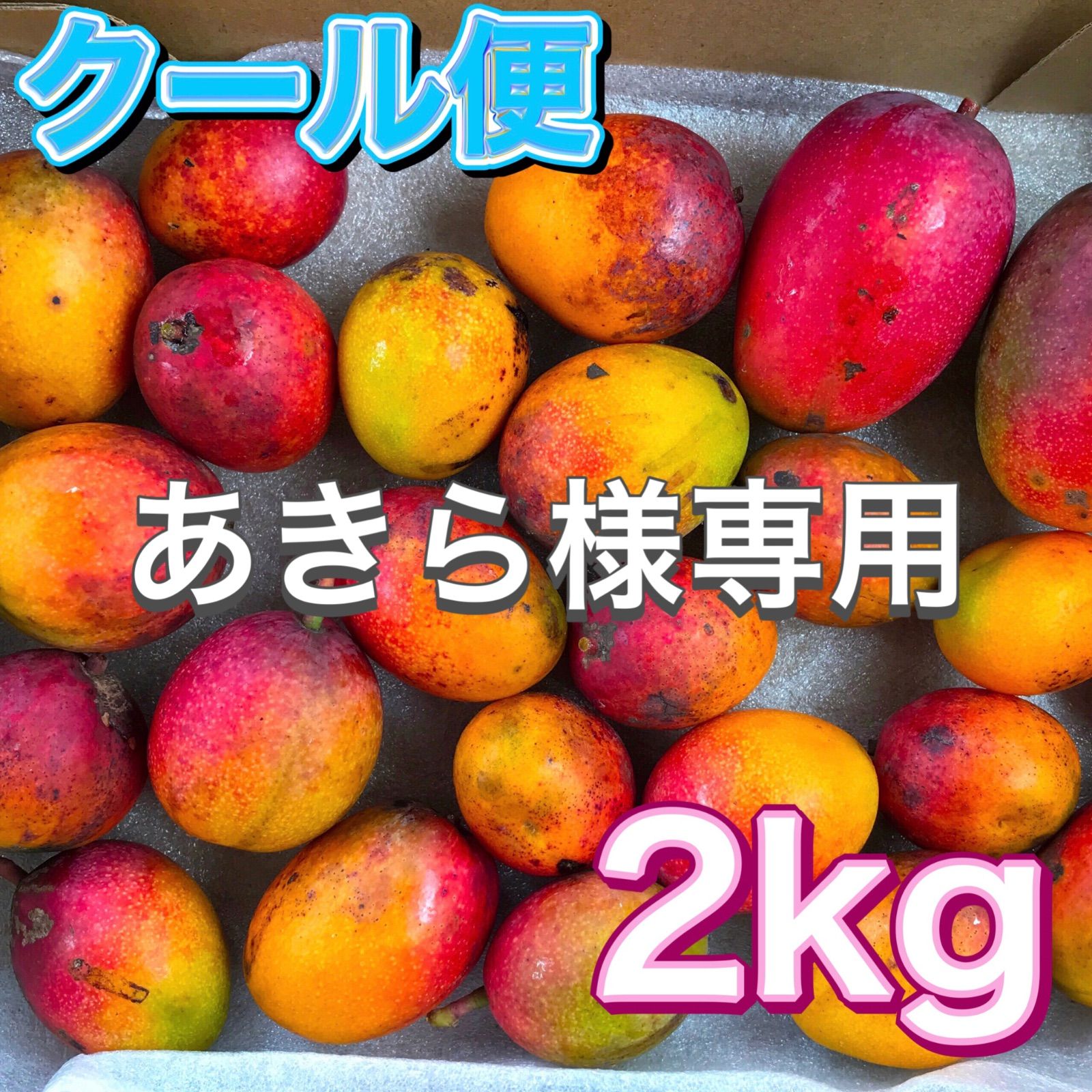 あきら様　　　　専用 Amazon | Ayouyue オートバイ 14 ミリメートルフロントフォーク