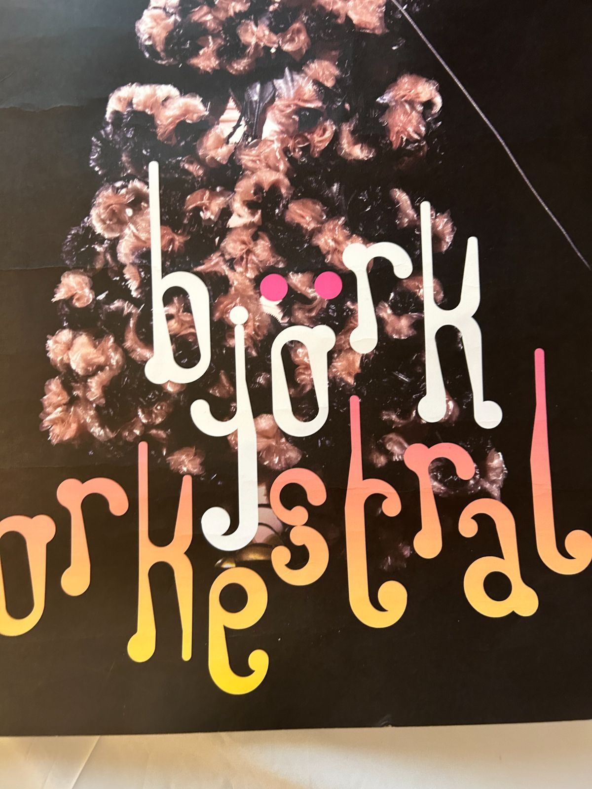 Bjork ビョーク / orchestral Tour 2024 オリジナル・ギグポスター