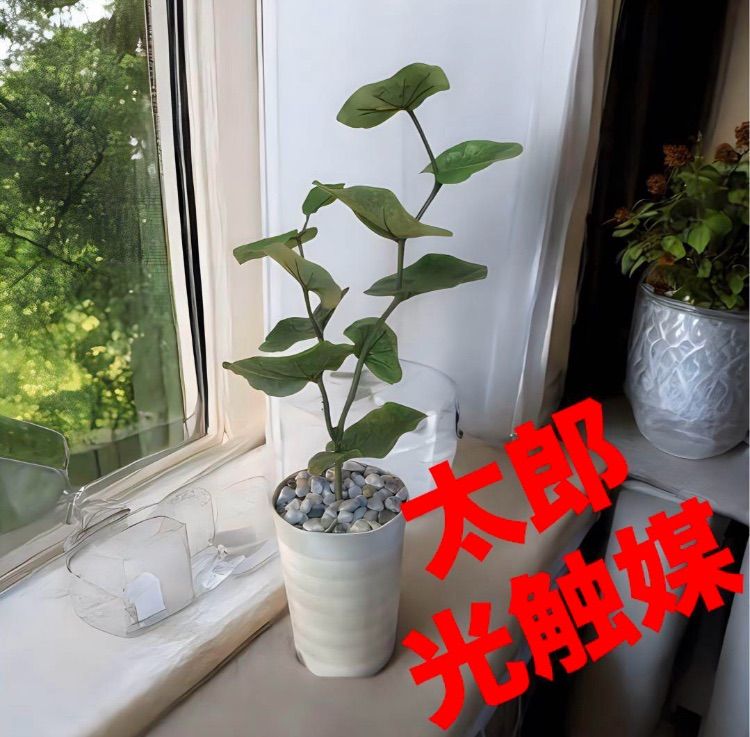 光触媒　人工観葉植物　ウォールグリーン　フェイクグリーン　シーグレープ４本立w 光触媒 人工観葉植物 ウォールグリーン フェイクグリーン シー