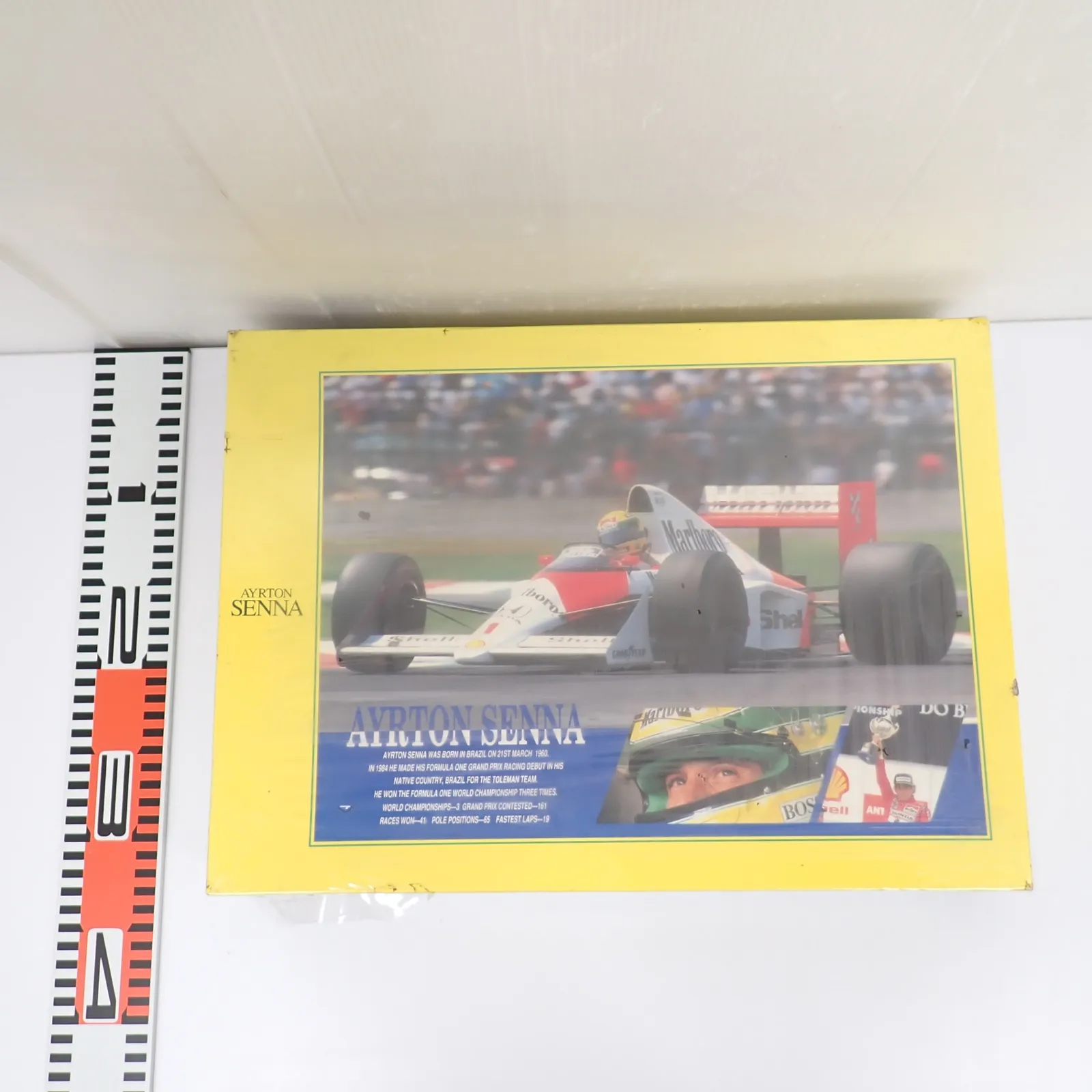 2025年最新】パズル セナ アイルトンの人気アイテム - メルカリ