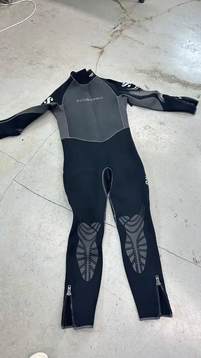サイズ