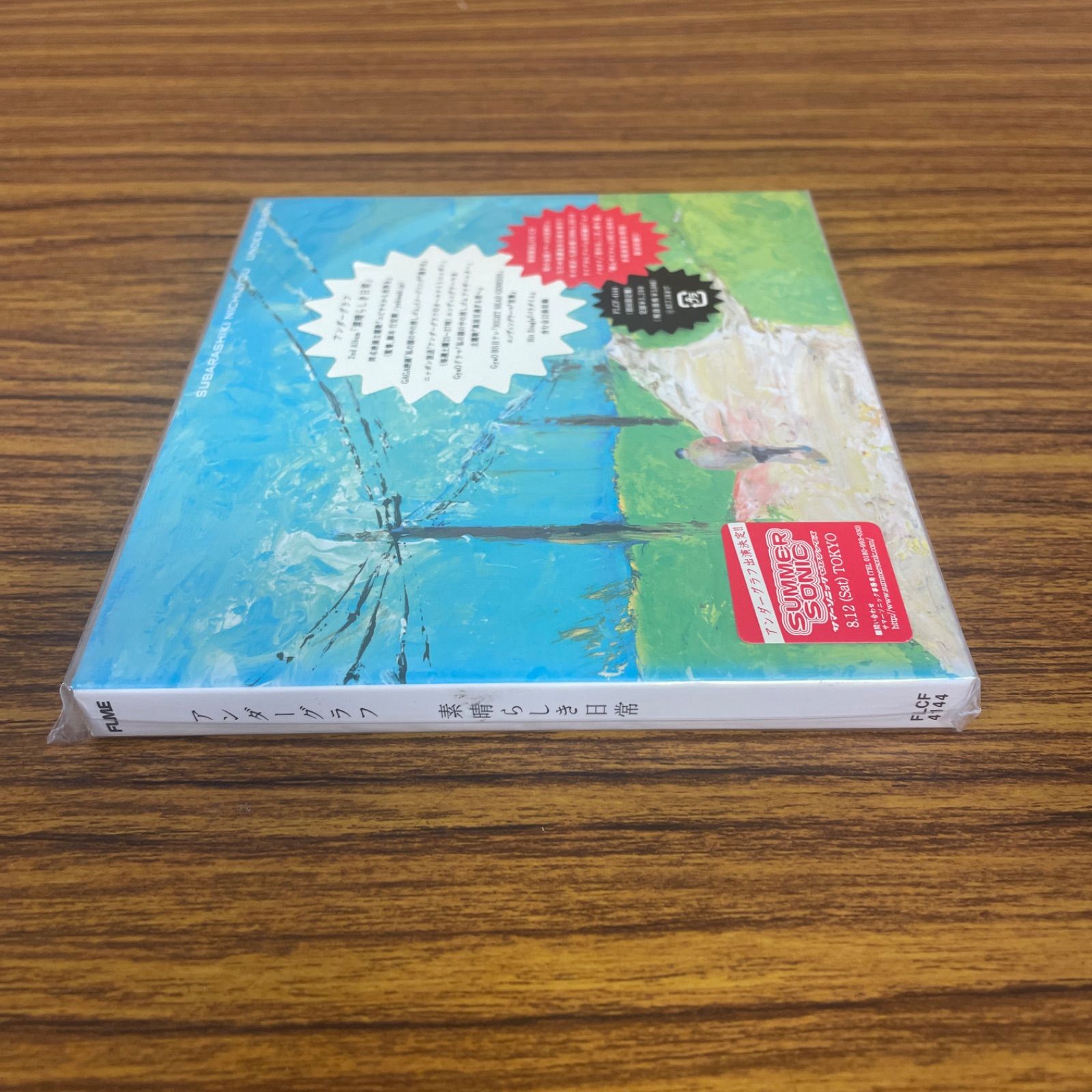 CD アンダーグラフ:素晴らしき日常 【初回限定盤】