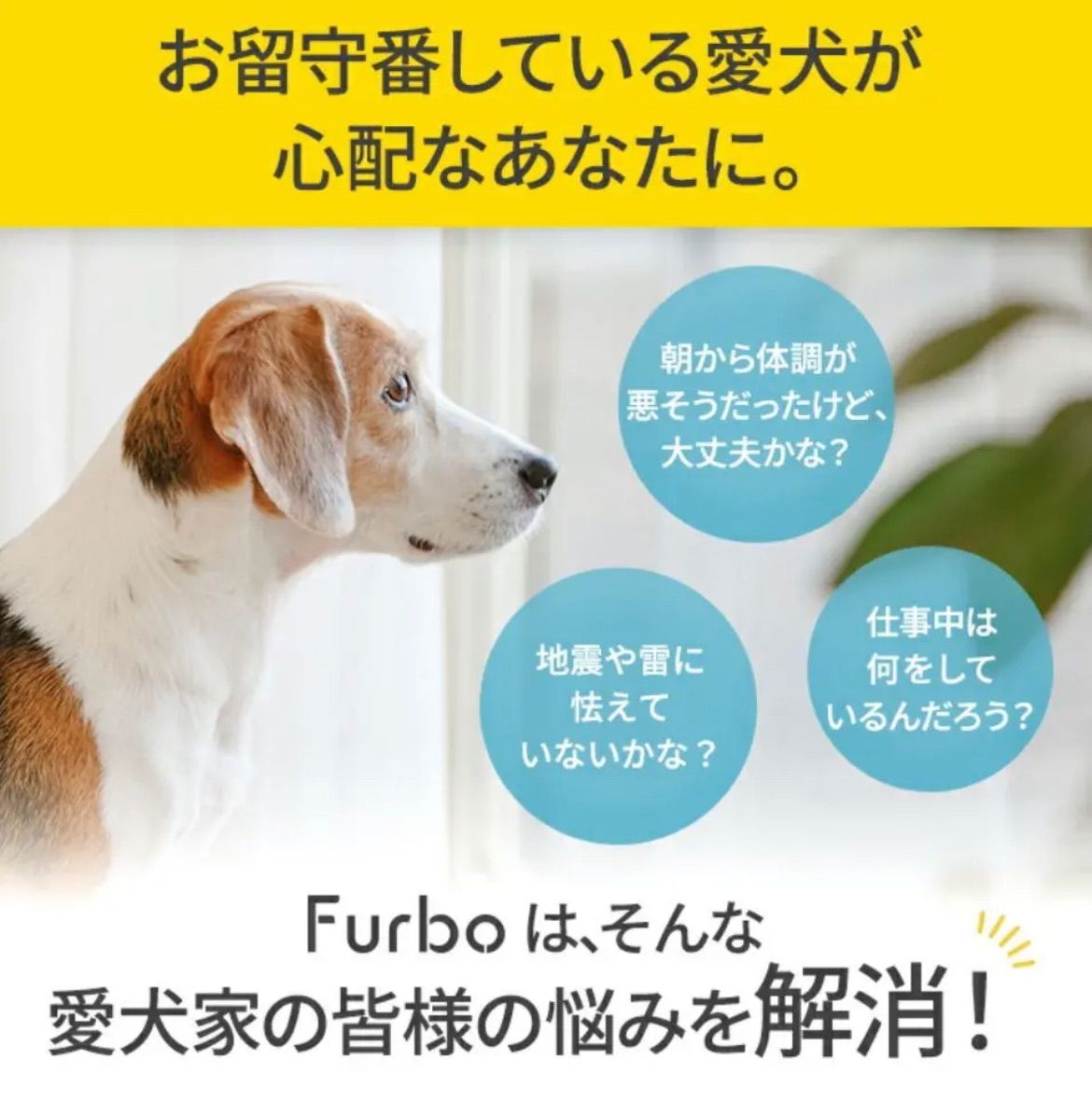 新品Furbo ドッグカメラ [ファーボ] - AI搭載 wifi ペットカメラ - メルカリ