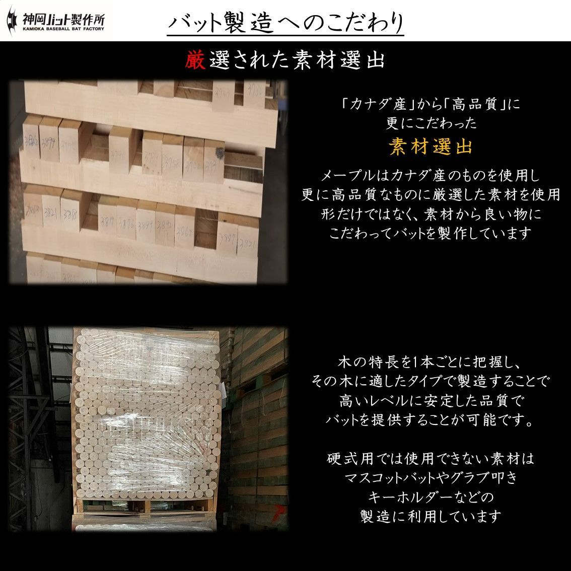 期間限定特別価格】BFJ認証付 硬式用木製バット 【BFBT-14SG6】特別