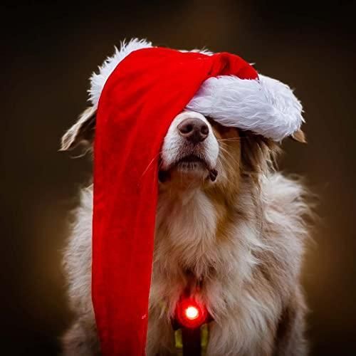 ドッグデュアルライト レッド