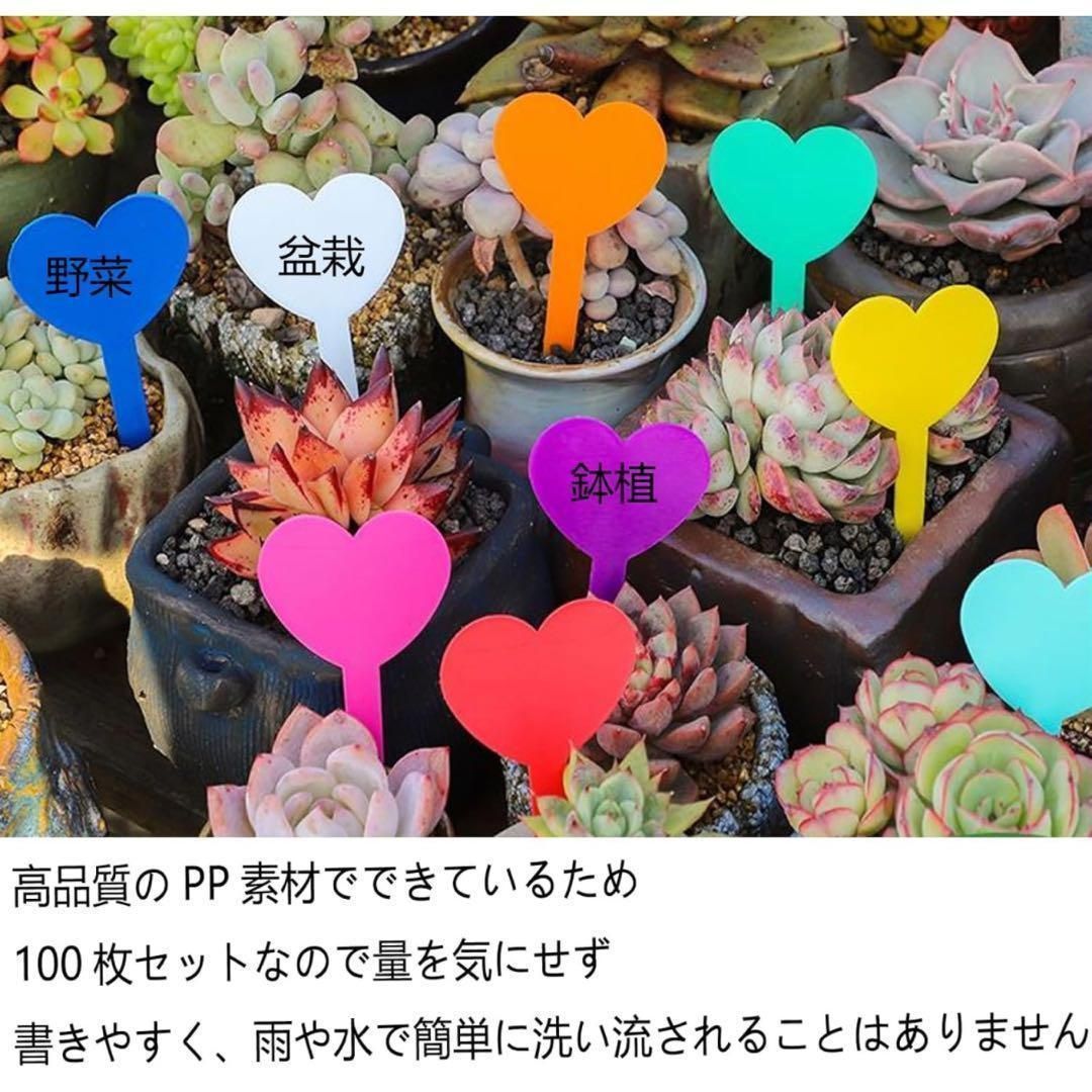 盆栽タグ 100枚入り