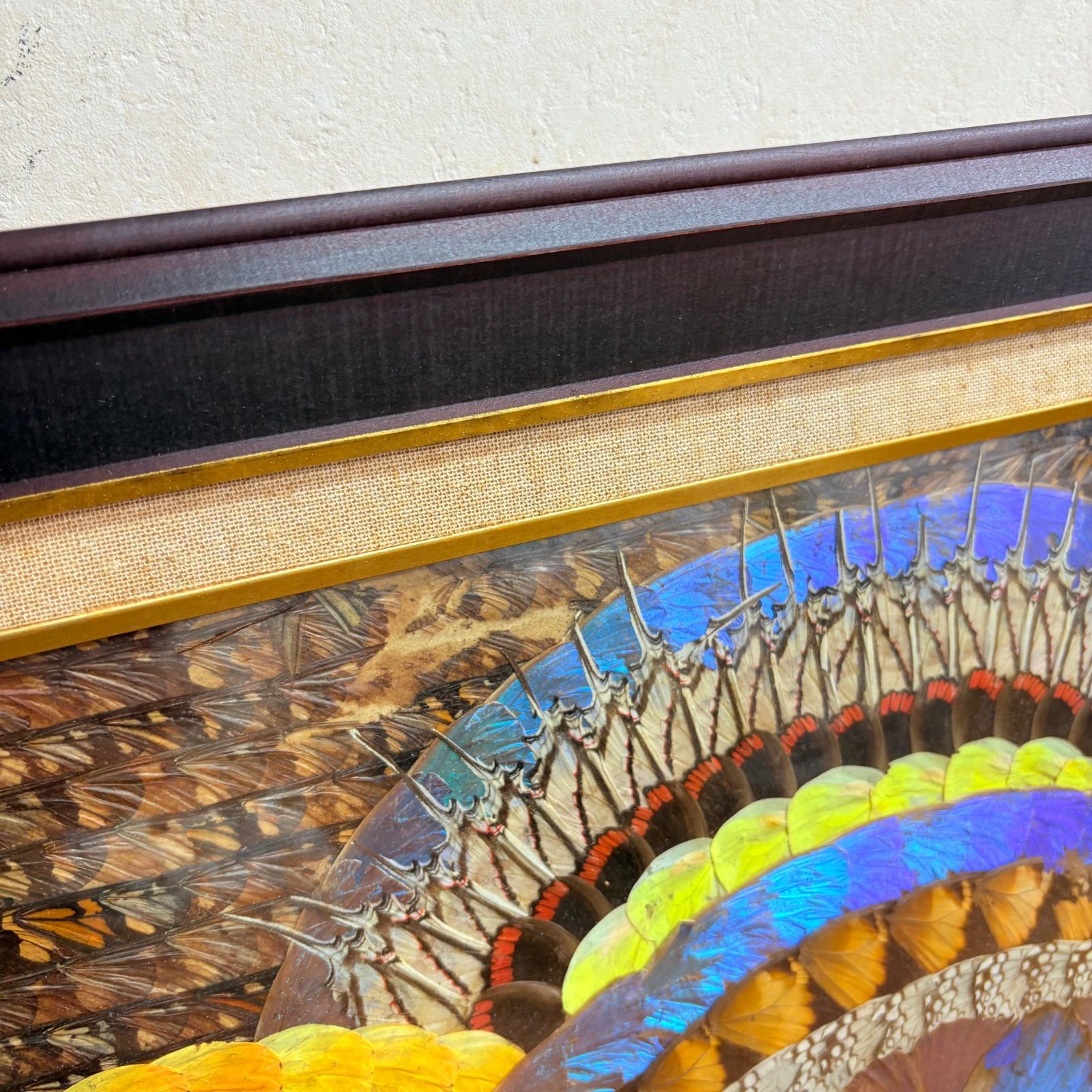 蝶 羽根アート モルフォ蝶 額縁付き 高級インテリア 幻想的ブルー