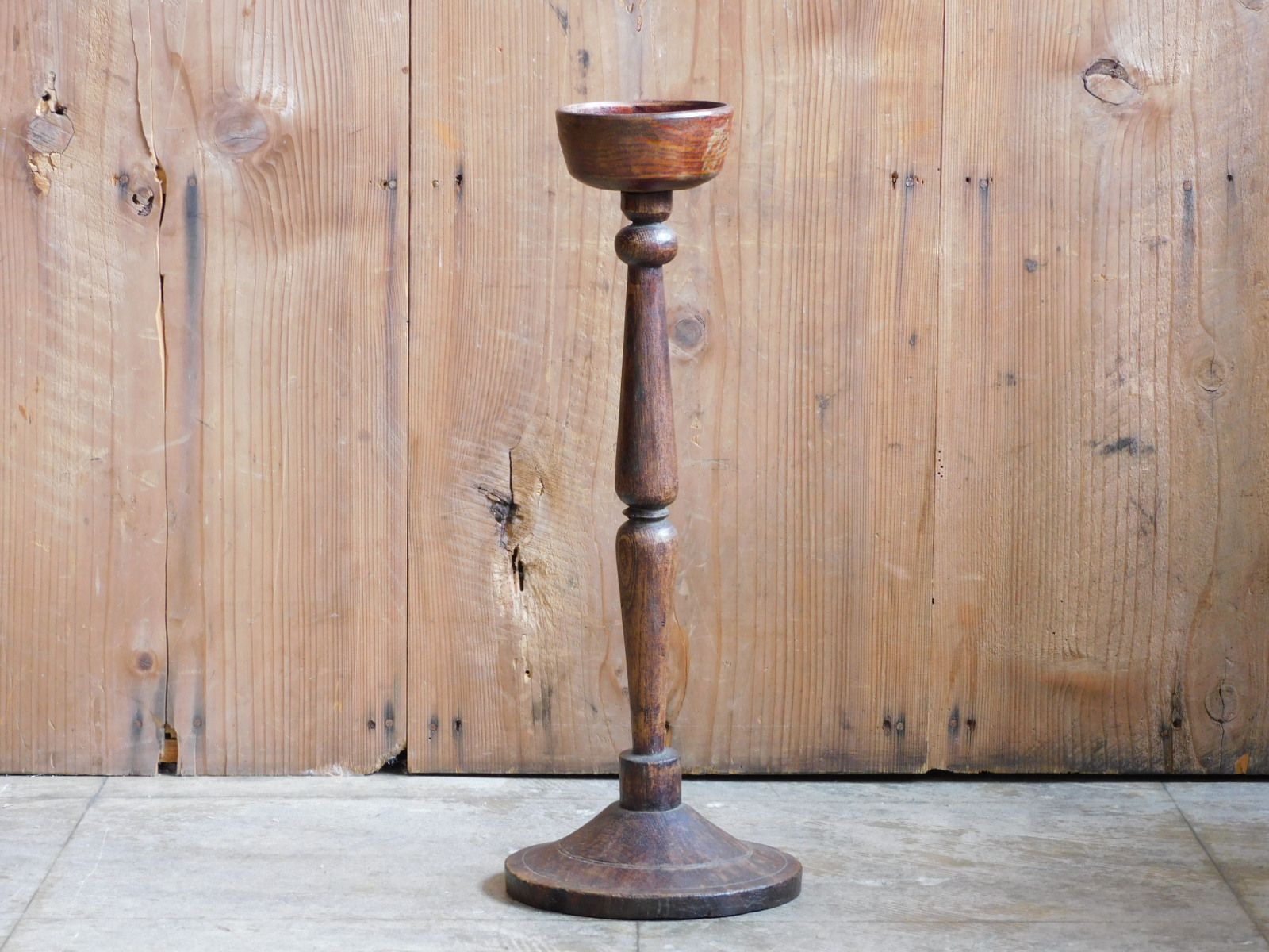 HK-a-05496 ケヤキ