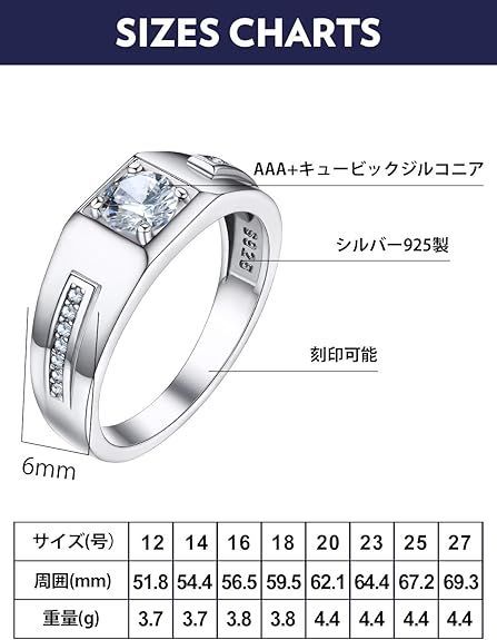 ジルコニアとシルバー950刻印のリング サイズ12です タングステン バイカラー 平打ちリング メンズ リング 指輪