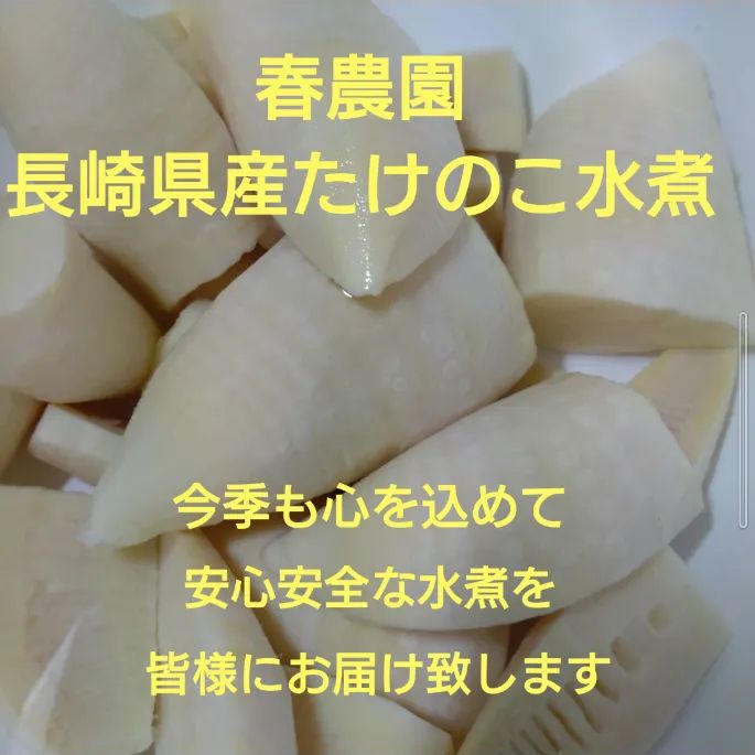 長崎県産たけのこ水煮 サイズ 刻 500g
