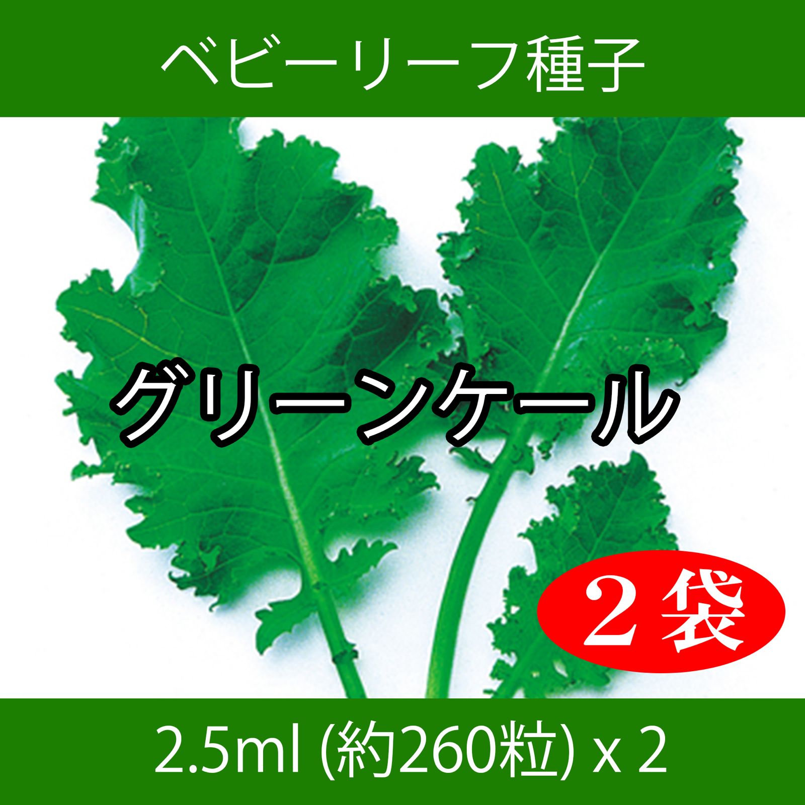 ベビーリーフ種子 B-34 グリーンケール 2.5ml 約260粒 x 2袋 - メルカリ