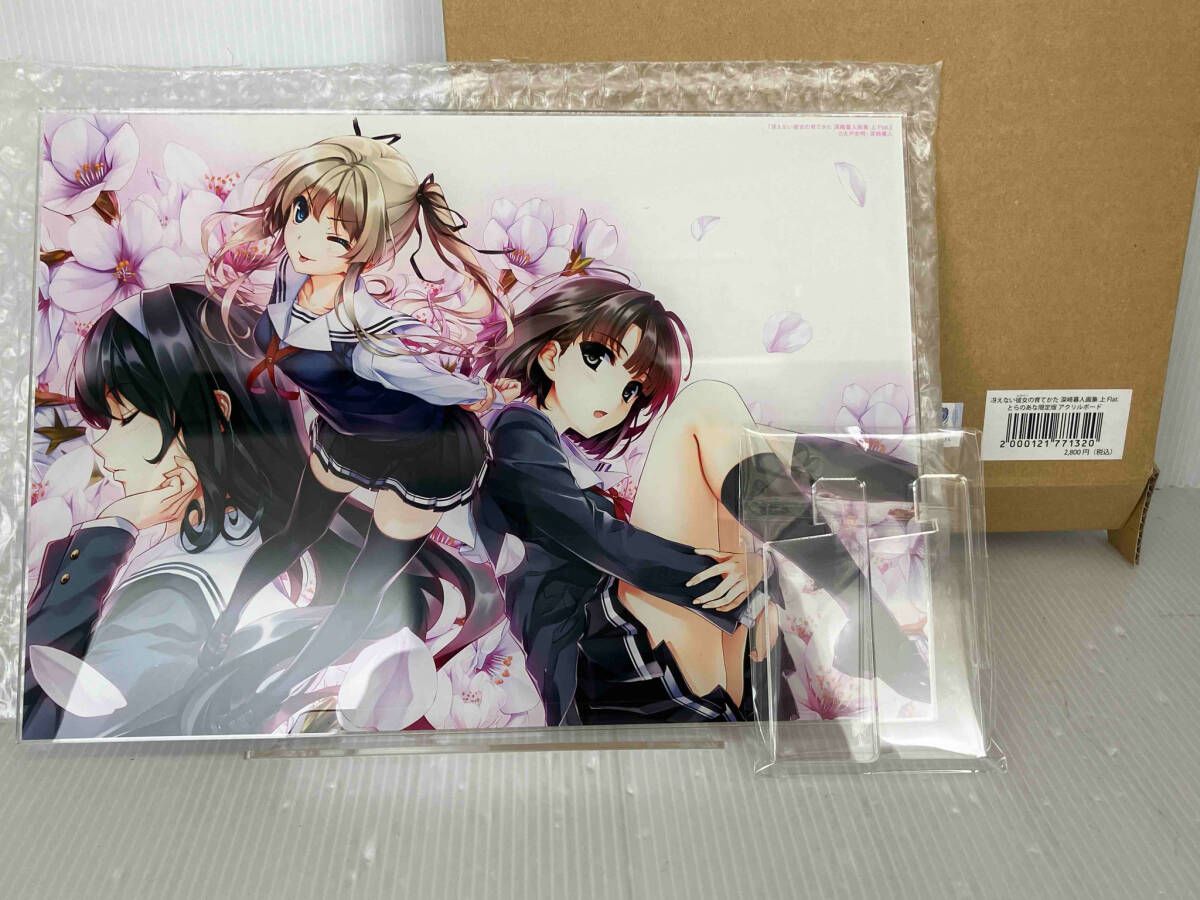★【未使用】冴えない彼女の育てかた A4アクリルプレート Amazon.co.jp: 冴えない彼女の育て A4アクリルプレート : おもちゃ