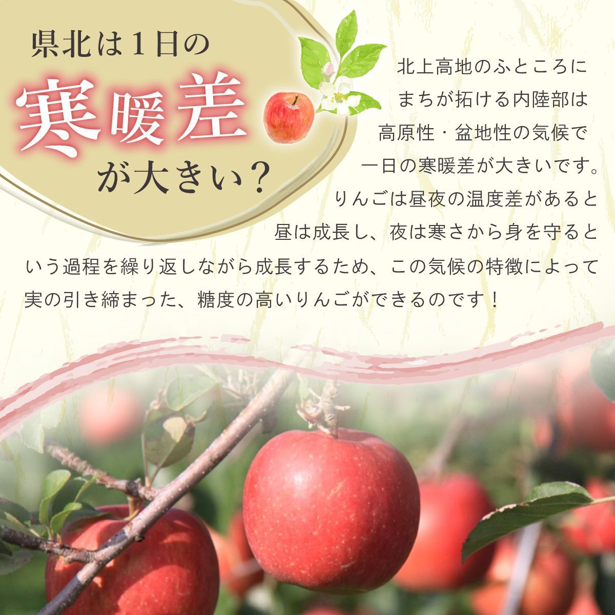 のサムネイル