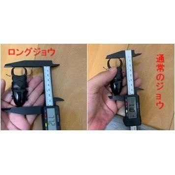 DDA　デジタルノギス (ヘラノギス) クワガタ カブトムシ 　A 楽天市場】【DDA】デジタルノギス 各種 (クワノギス/ヘラノギス