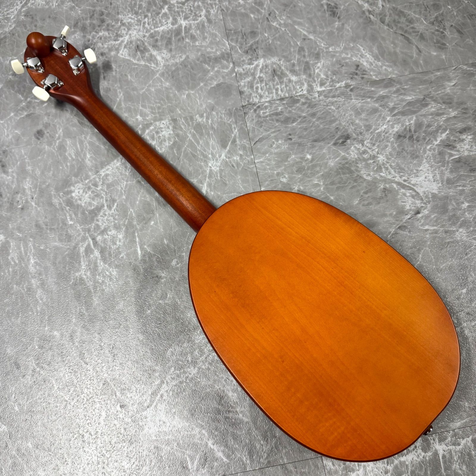 心に響く癒し音色 一期一会 奏生 アコースティック楽器 でも弾ける 癒しの和楽器 モデル