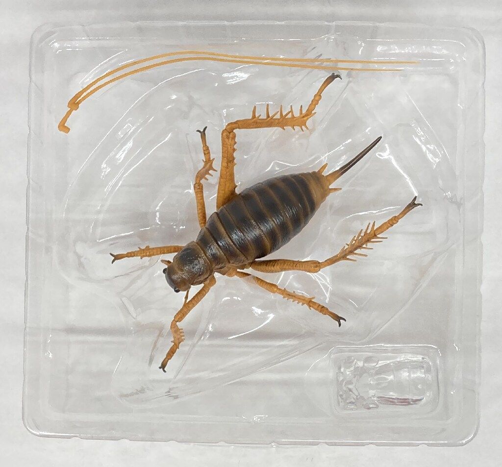 BANDAI SPIRITS 一番くじ 昆虫 LIFE with INSECT D賞