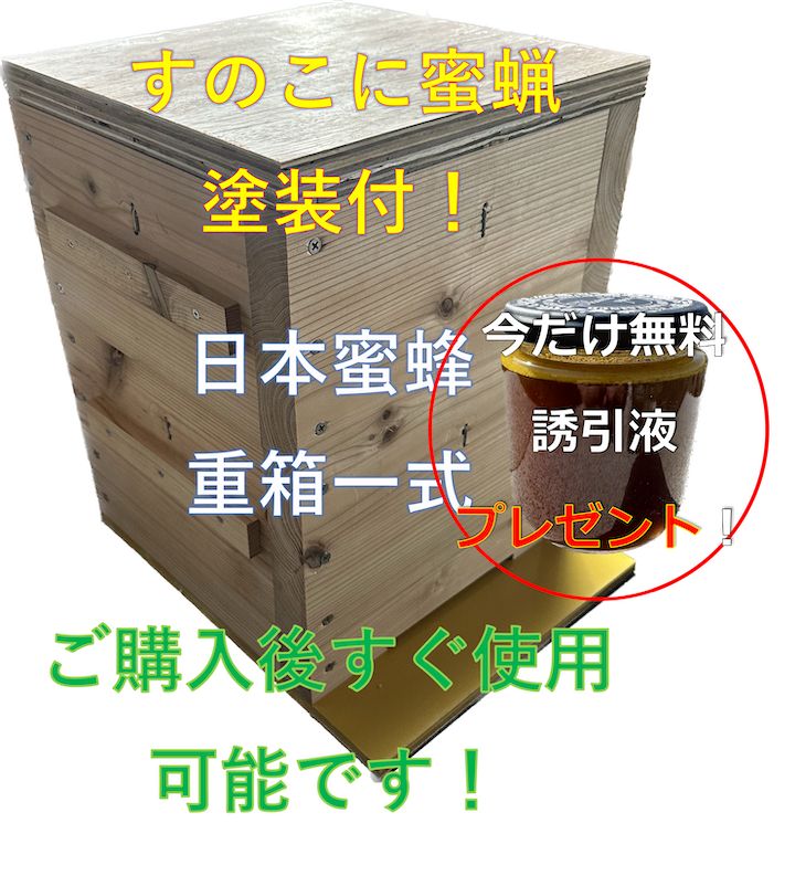 日本蜜蜂巣箱 すのこ蜜蝋塗装付 板厚３３mm 重箱 待ち箱 ニホンミツバチ